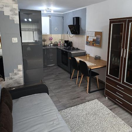 Apartament Przy Parku コウォブジェク エクステリア 写真