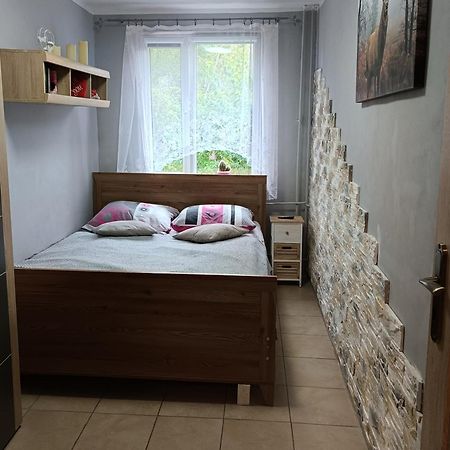 Apartament Przy Parku コウォブジェク エクステリア 写真