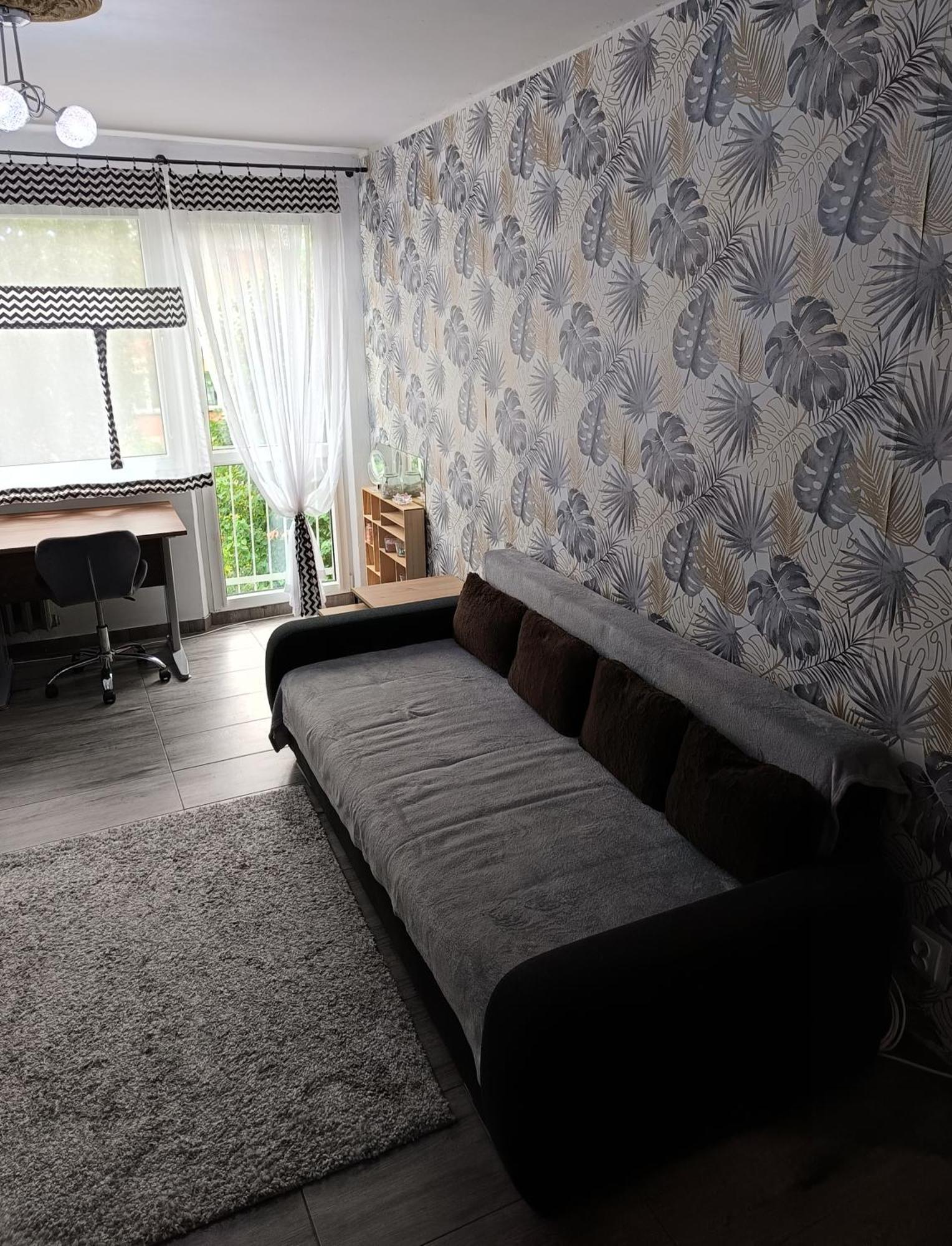 Apartament Przy Parku コウォブジェク エクステリア 写真